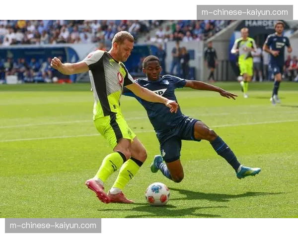 霍芬海姆vs多特蒙德：霍村本赛季排名提升9位冲击欧战